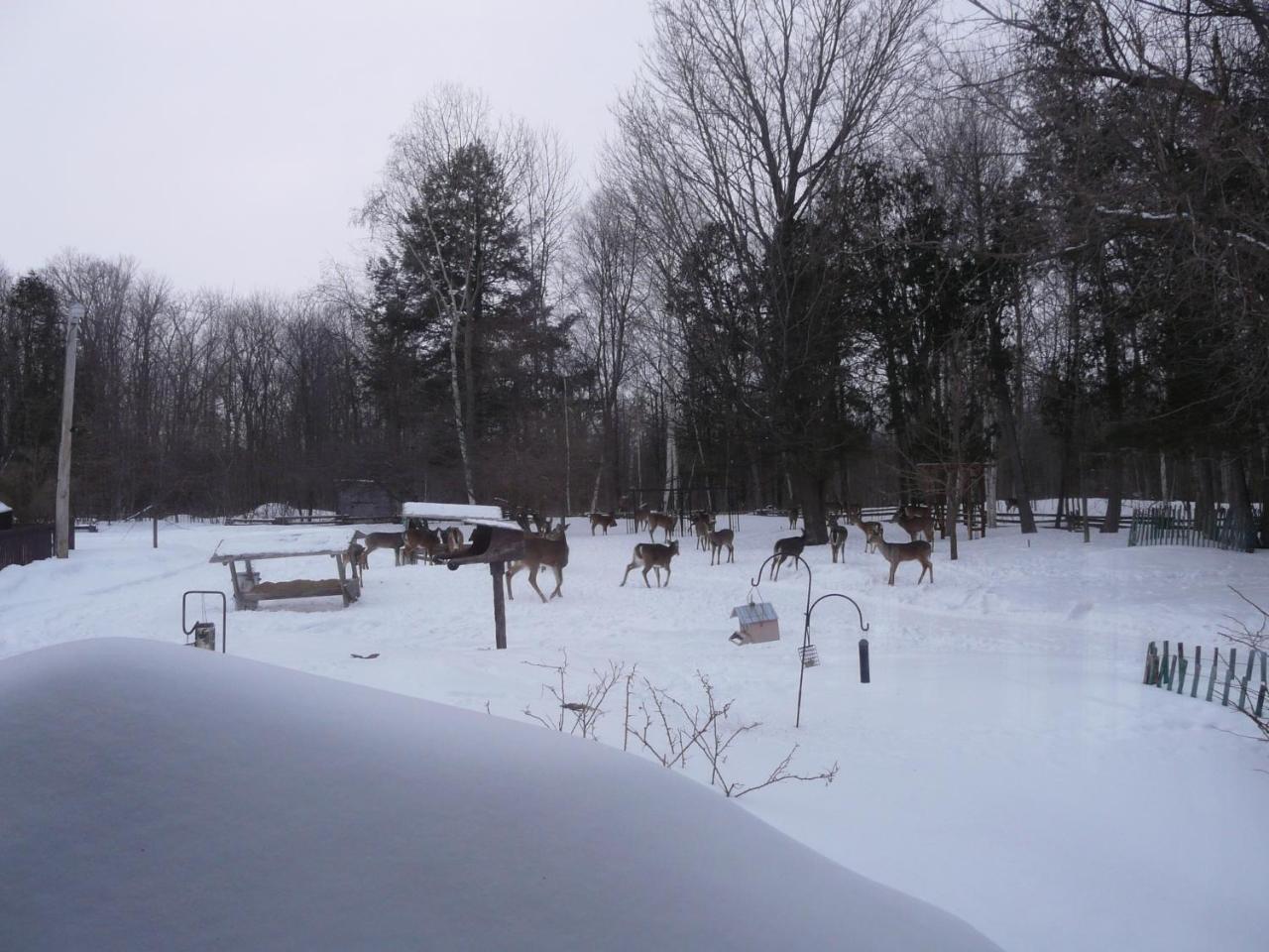 Auberge Des Gallant Rigaud Esterno foto